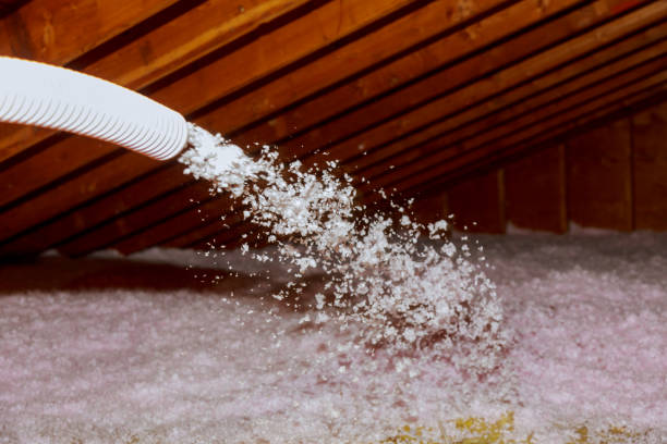 Best Eco-Friendly Insulation in Lynn Haven, FL