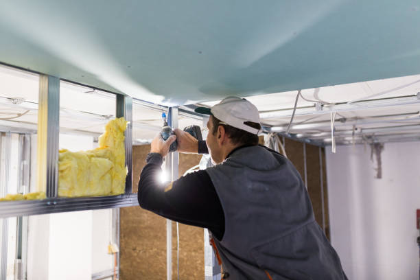 Best Commercial Insulation in Lynn Haven, FL