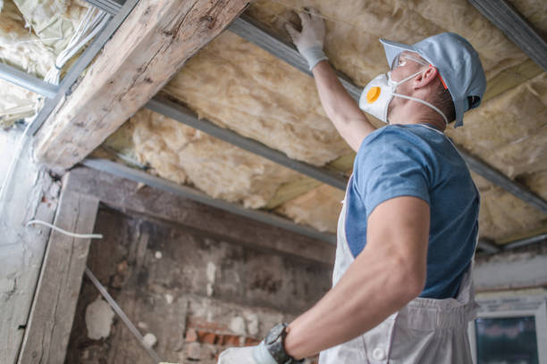 Best Specialized Insulation Services in Lynn Haven, FL