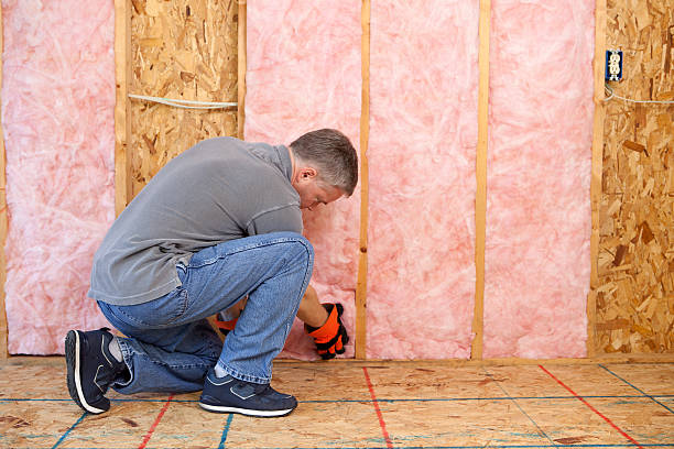 Best Energy Efficiency Insulation in Lynn Haven, FL